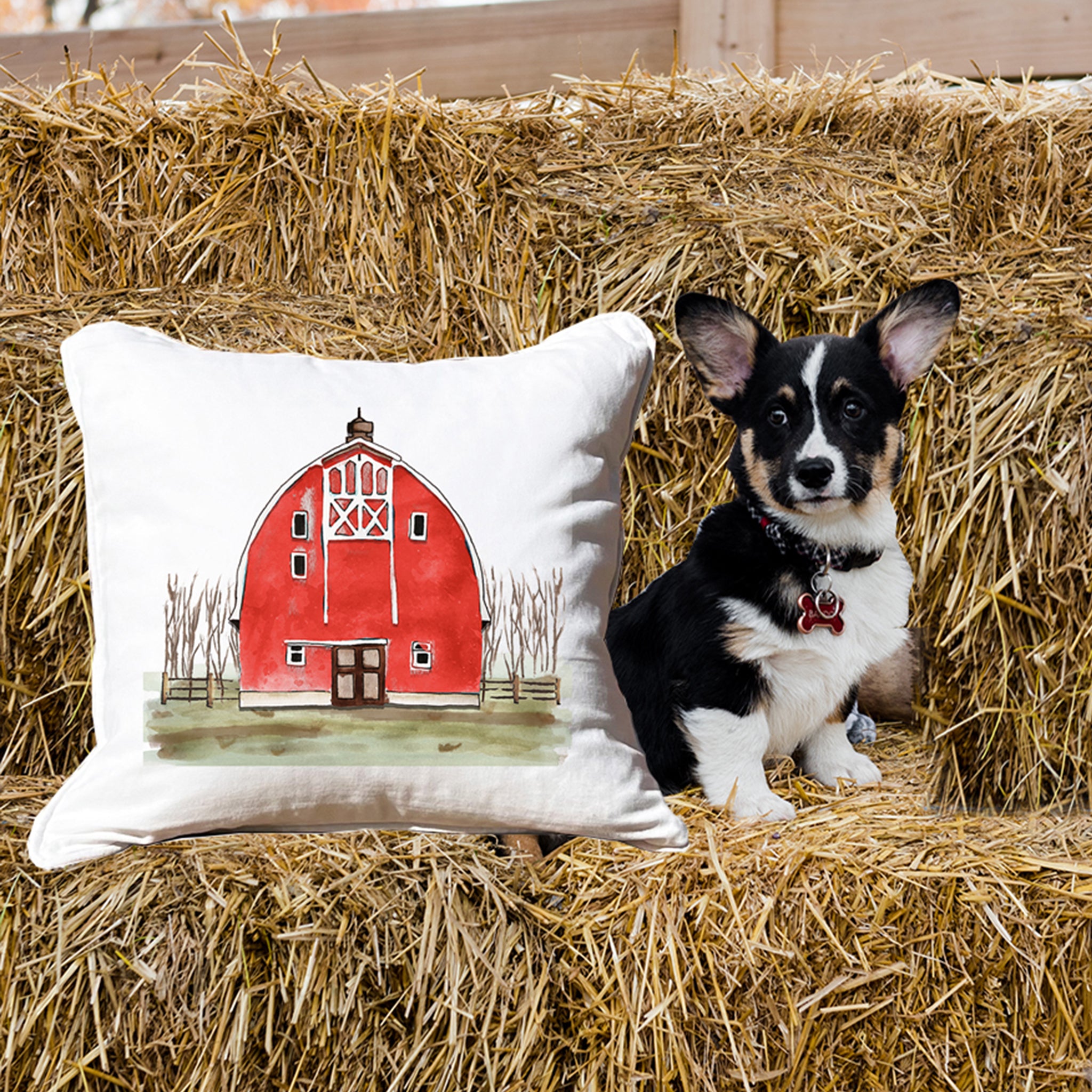 Barns & Churches Pillows KnollwoodLane