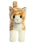 Plush Kitty Toy With Personalized Tag