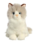 Plush Kitty Toy With Personalized Tag