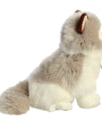 Plush Kitty Toy With Personalized Tag