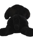 Plush Puppy Dog Toy With Personalized Tag
