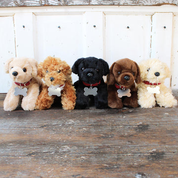Mini Plush Puppy Dog Toy With Personalized Tag "I Belong to..."