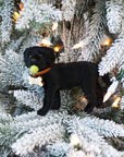 Personalized Christmas Dog Ornament with Custom Name Tag