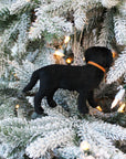 Personalized Christmas Dog Ornament with Custom Name Tag