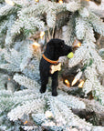 Personalized Christmas Dog Ornament with Custom Name Tag