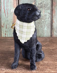 Sitting Labrador Retriever With Bandana Ornament