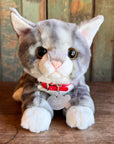 Plush Kitty Toy With Personalized Tag