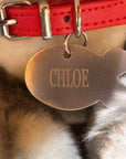 Plush Kitty Toy With Personalized Tag