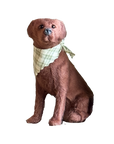 Sitting Labrador Retriever With Bandana Ornament - Wholesale Case