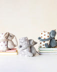 Plush Toy With Blanket