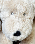 Plush Dog Toy With Personalized Tag