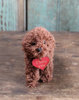 Puppy Love Doodle Dog Ornament