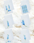 Bluebonnets Stationery Set and Notecard Set
