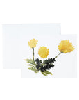 Botanical Stationery and Notecard Set