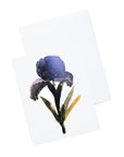 Botanical Stationery and Notecard Set