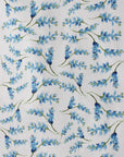 Bluebonnets Wrapping Paper BUY 4+ for FREE SHIPPING!