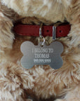 Plush Puppy Dog Toy With Personalized Tag
