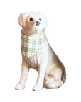 Sitting Labrador Retriever With Bandana Ornament - Wholesale Case