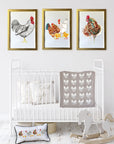 Chicken Baby Blanket