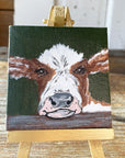 CVS-COW-CLF