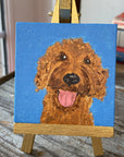CVS-DOG-DDL