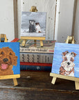 CVS-DOG-SET