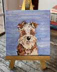 CVS-DOG-TER