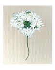 White Hydrangea Dishcloth Set