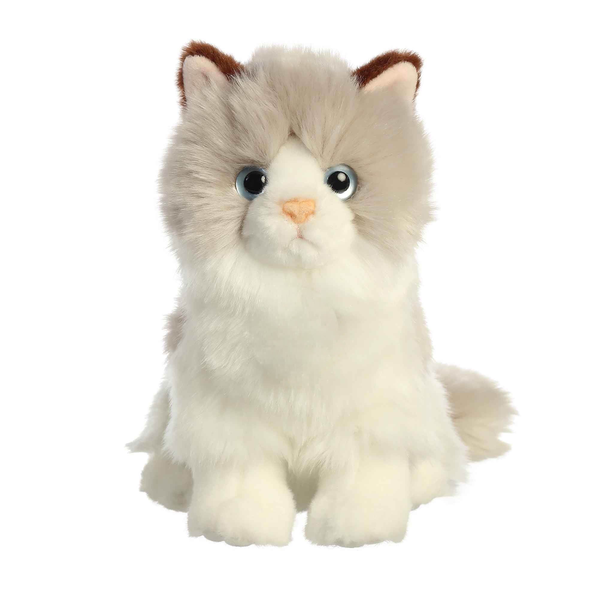 Plush Kitty Toy With Personalized Tag