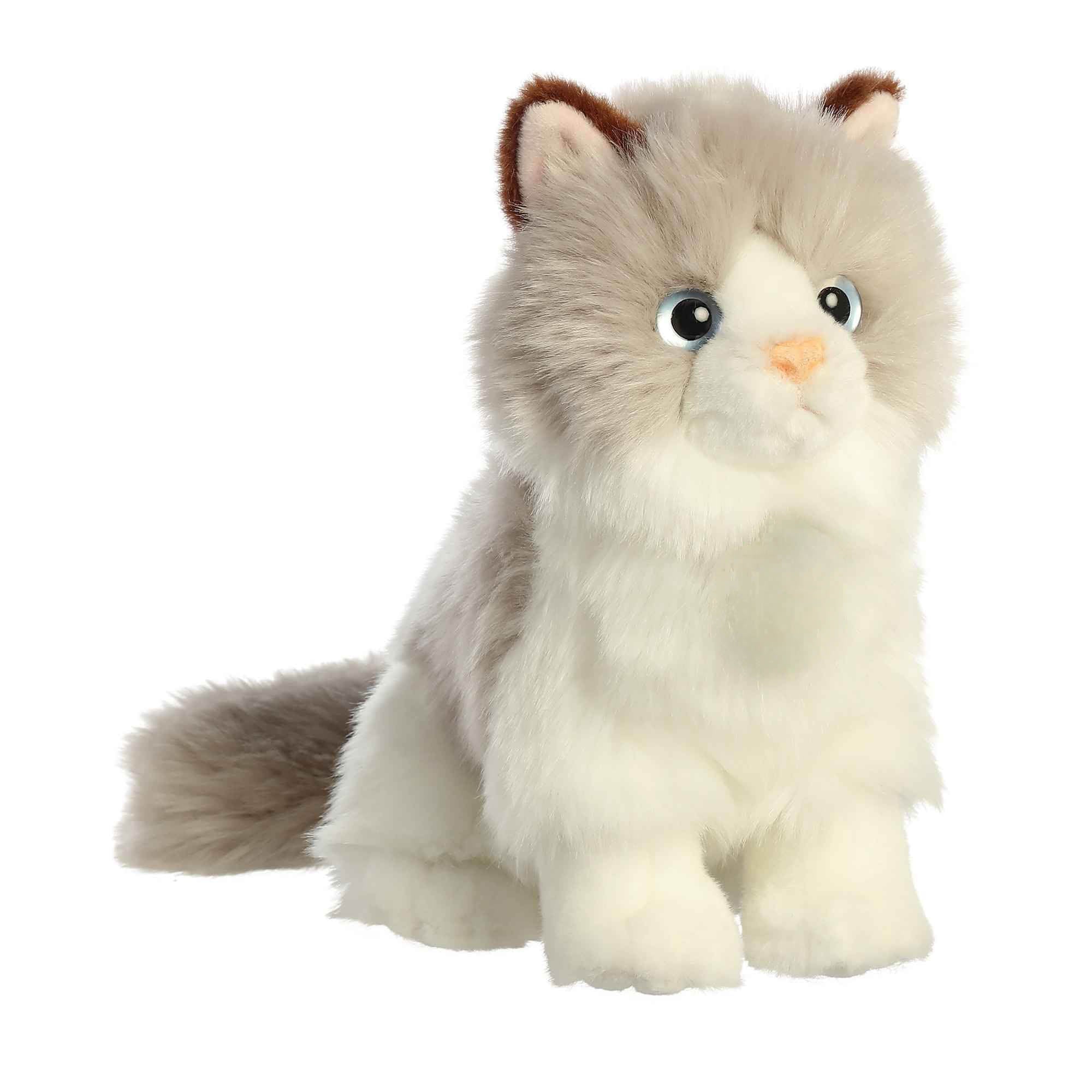 Plush Kitty Toy With Personalized Tag