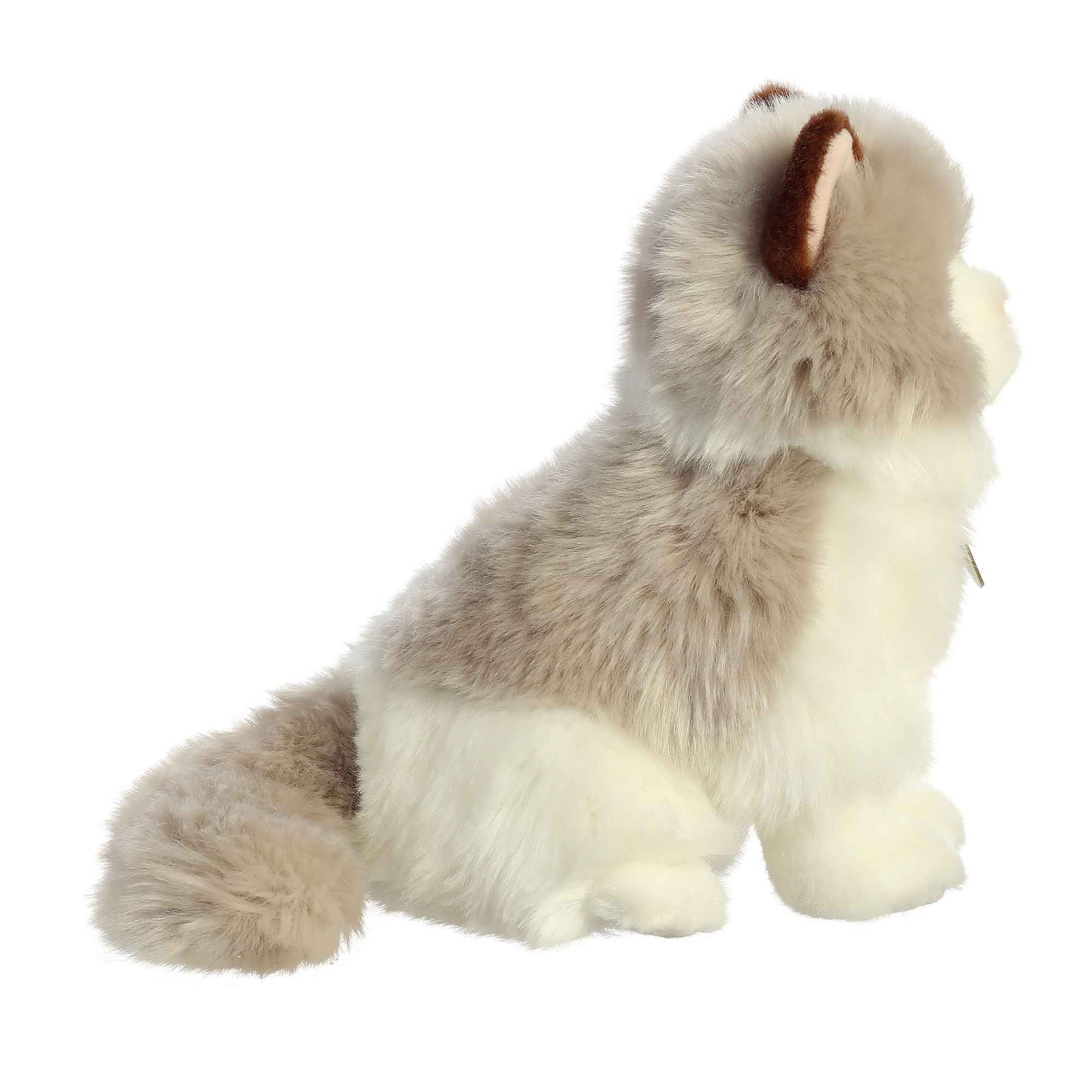 Plush Kitty Toy With Personalized Tag