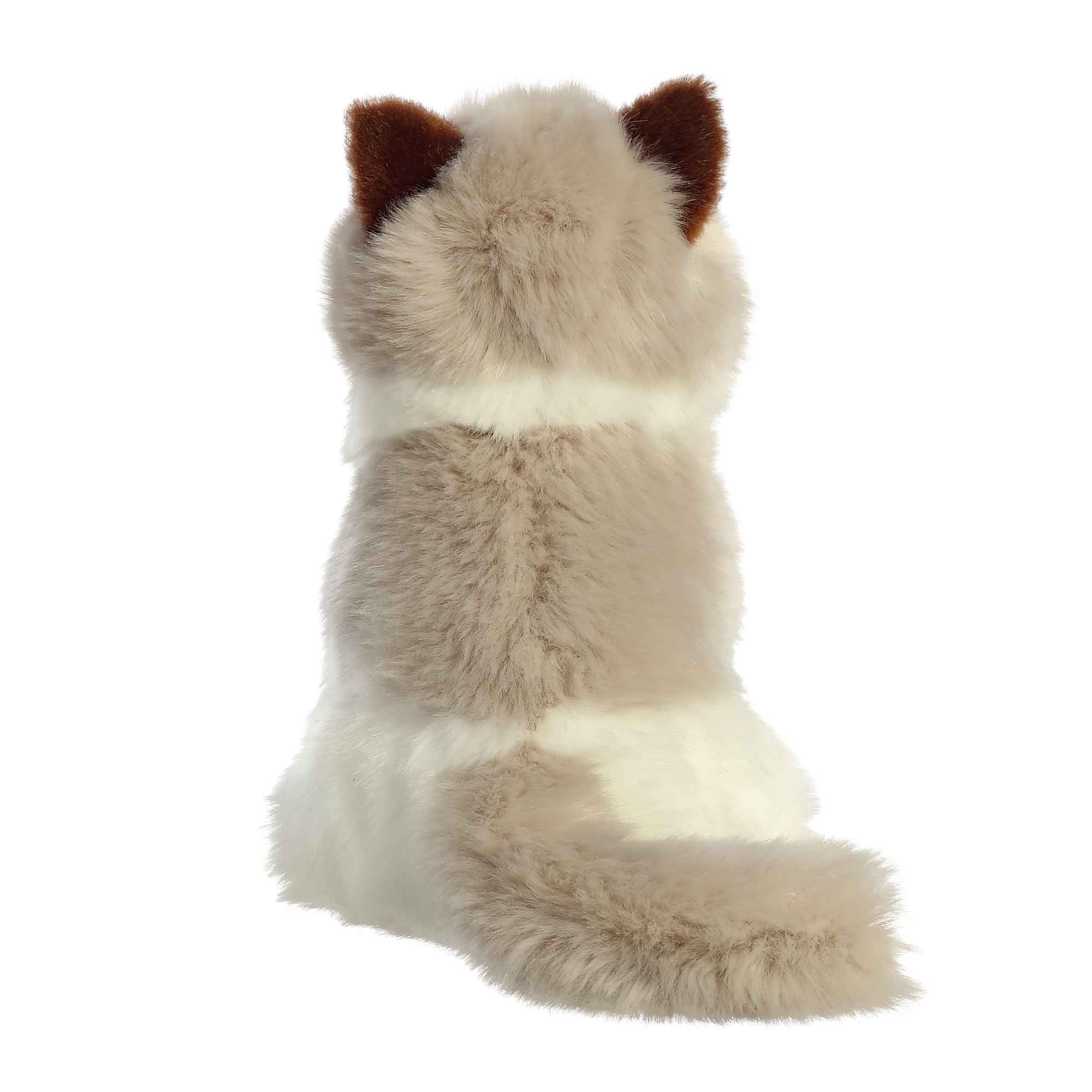Plush Kitty Toy With Personalized Tag