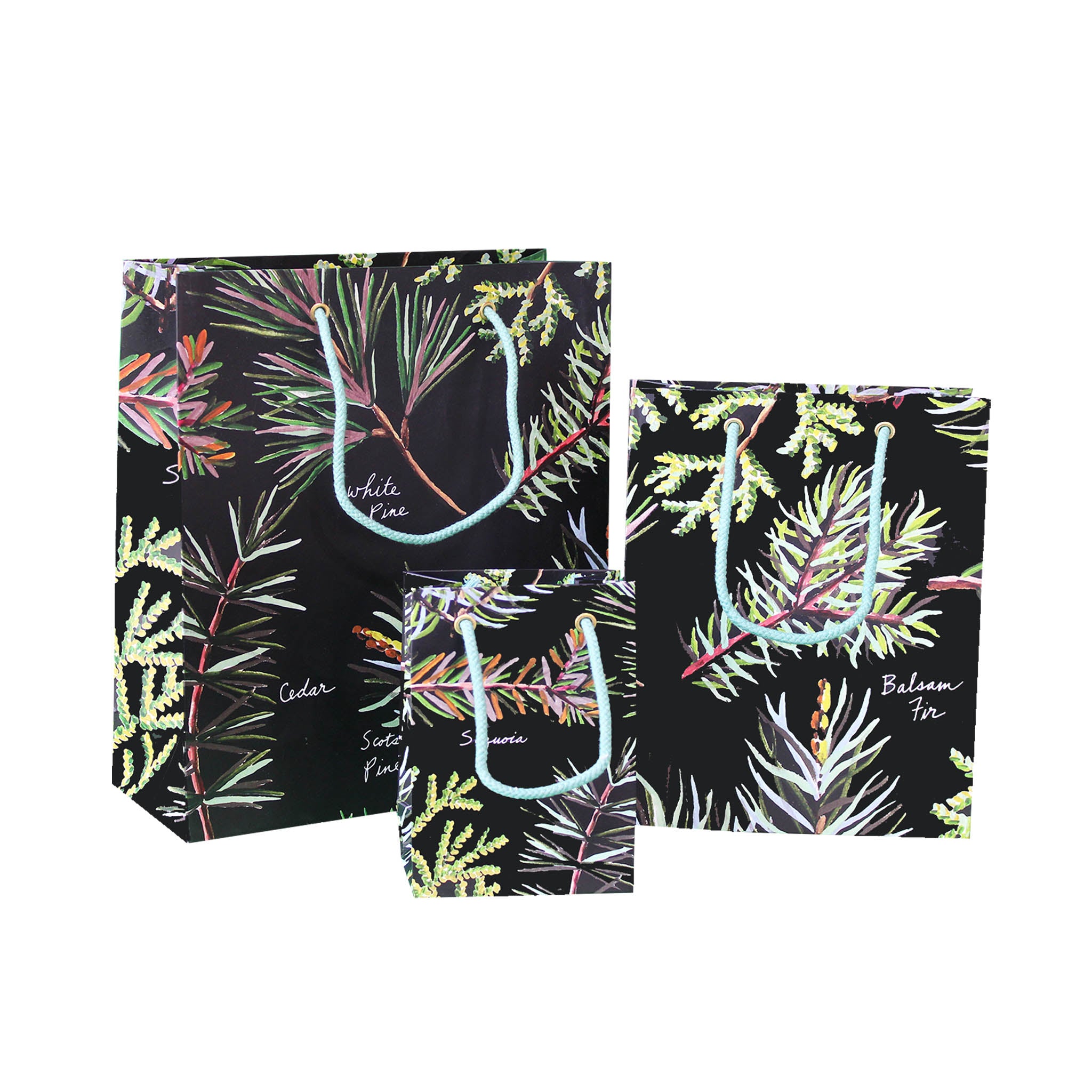 Paper Gift Bag Set- Branches