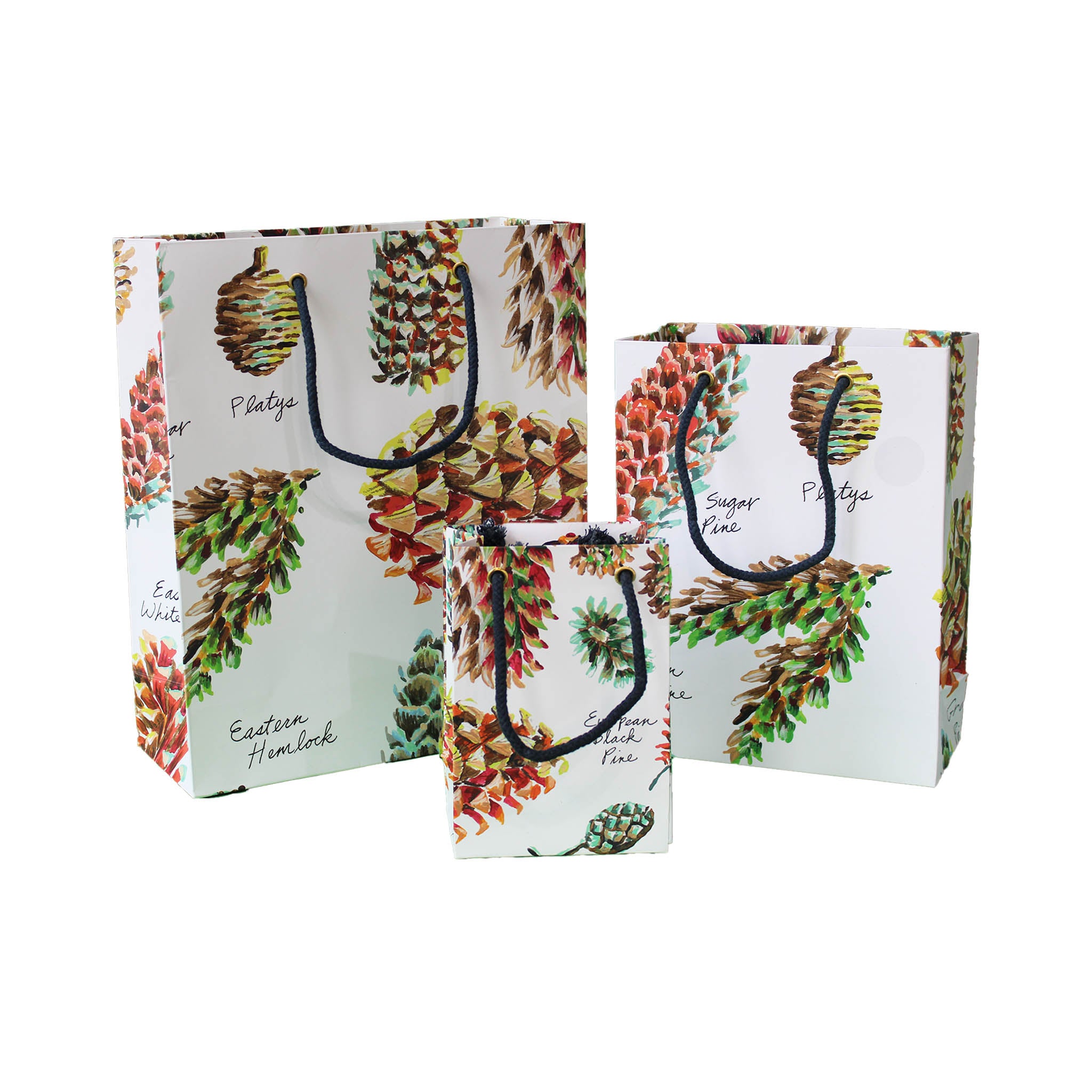 Pinecones Paper Gift Bag Set
