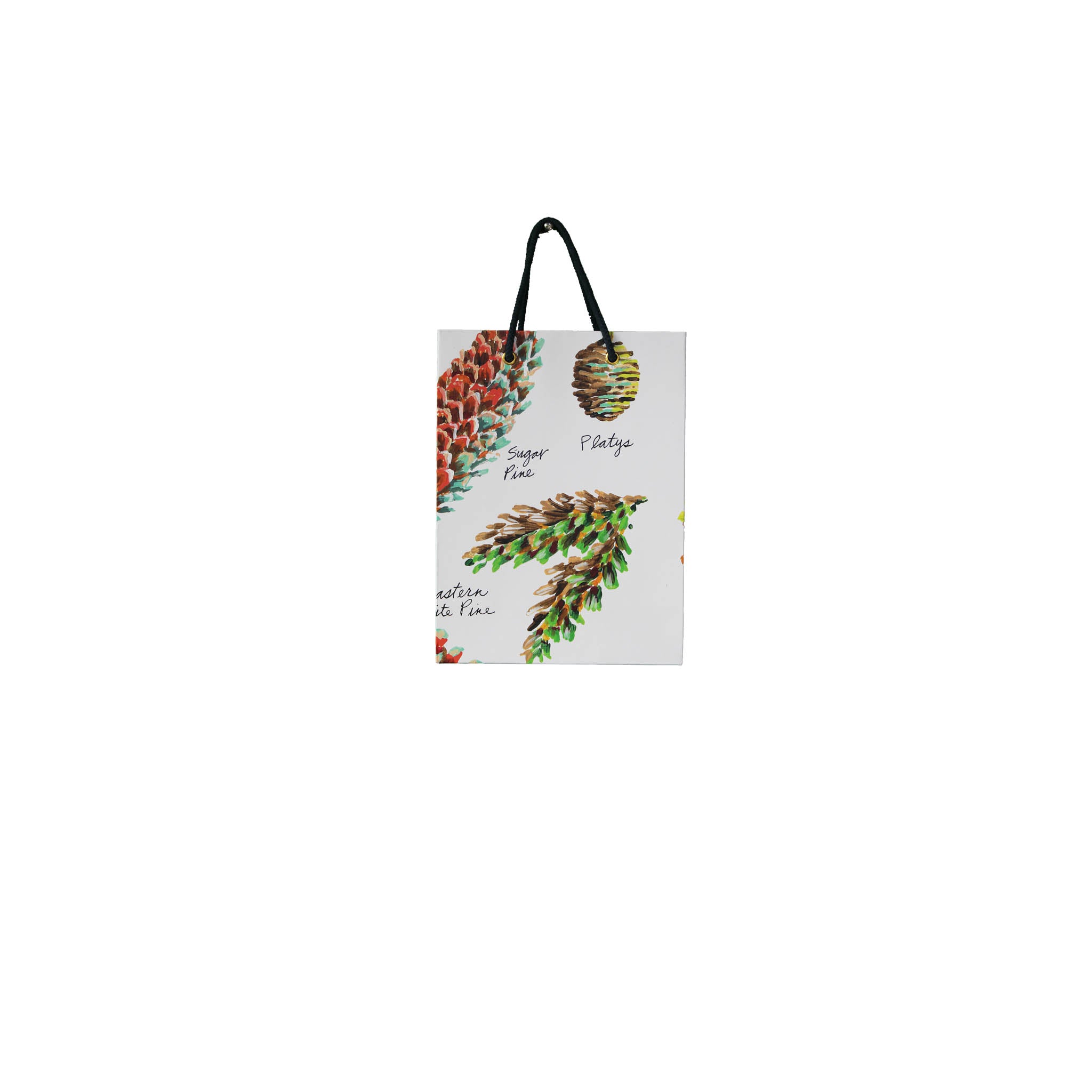 Pinecones Paper Gift Bag Set