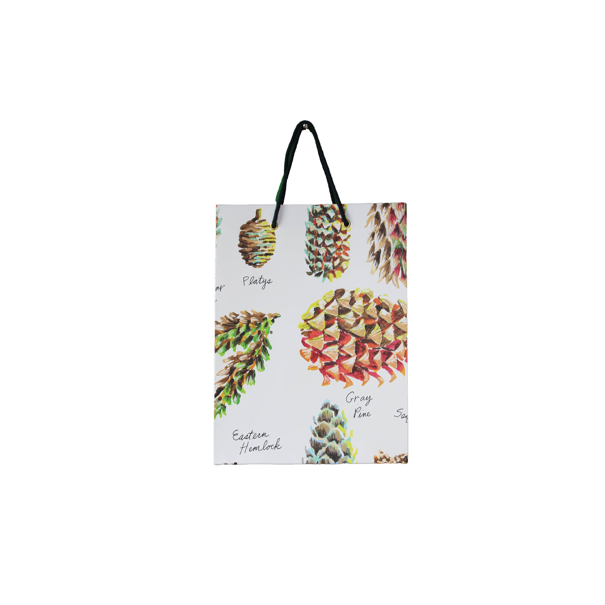Pinecones Paper Gift Bag Set