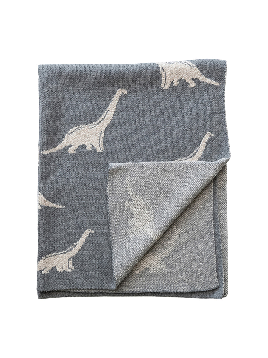 Dinosaur Personalized Baby Blanket