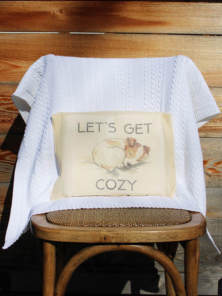 Monthly Milestone Baby Blanket