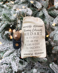 Baby Mouse Ornament Perzonalized