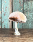 Velvet Mushroom With Greenery