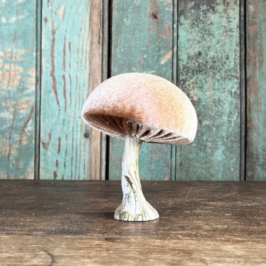 Velvet Mushroom With Greenery