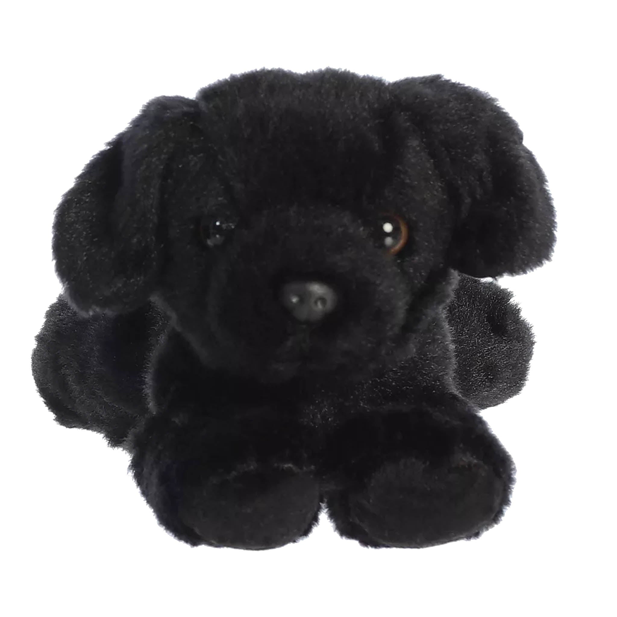 Mini Plush Puppy Dog Toy With Personalized Tag