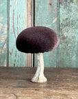 Velvet Mushroom With Greenery