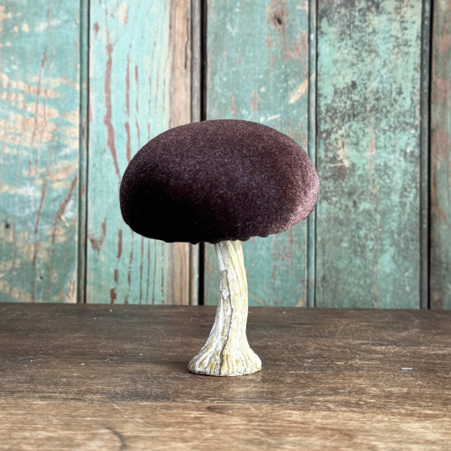 Velvet Mushroom With Greenery