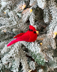 Velvet Cardinal Ornament Gift Set