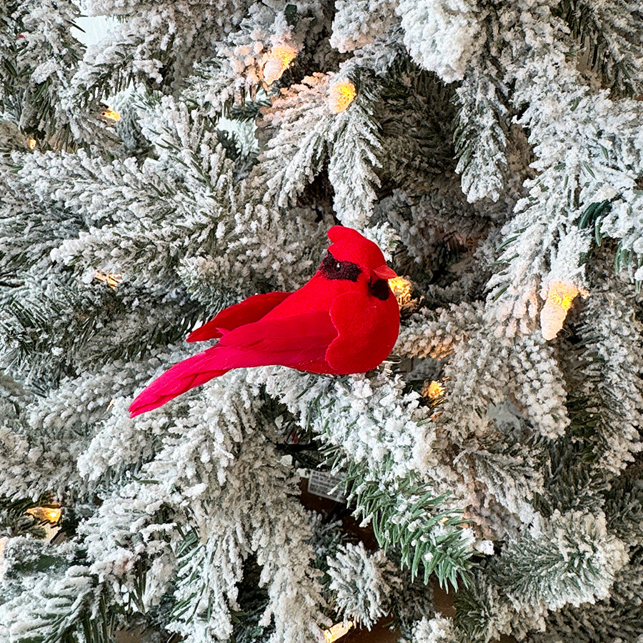 Velvet Cardinal Ornament Gift Set