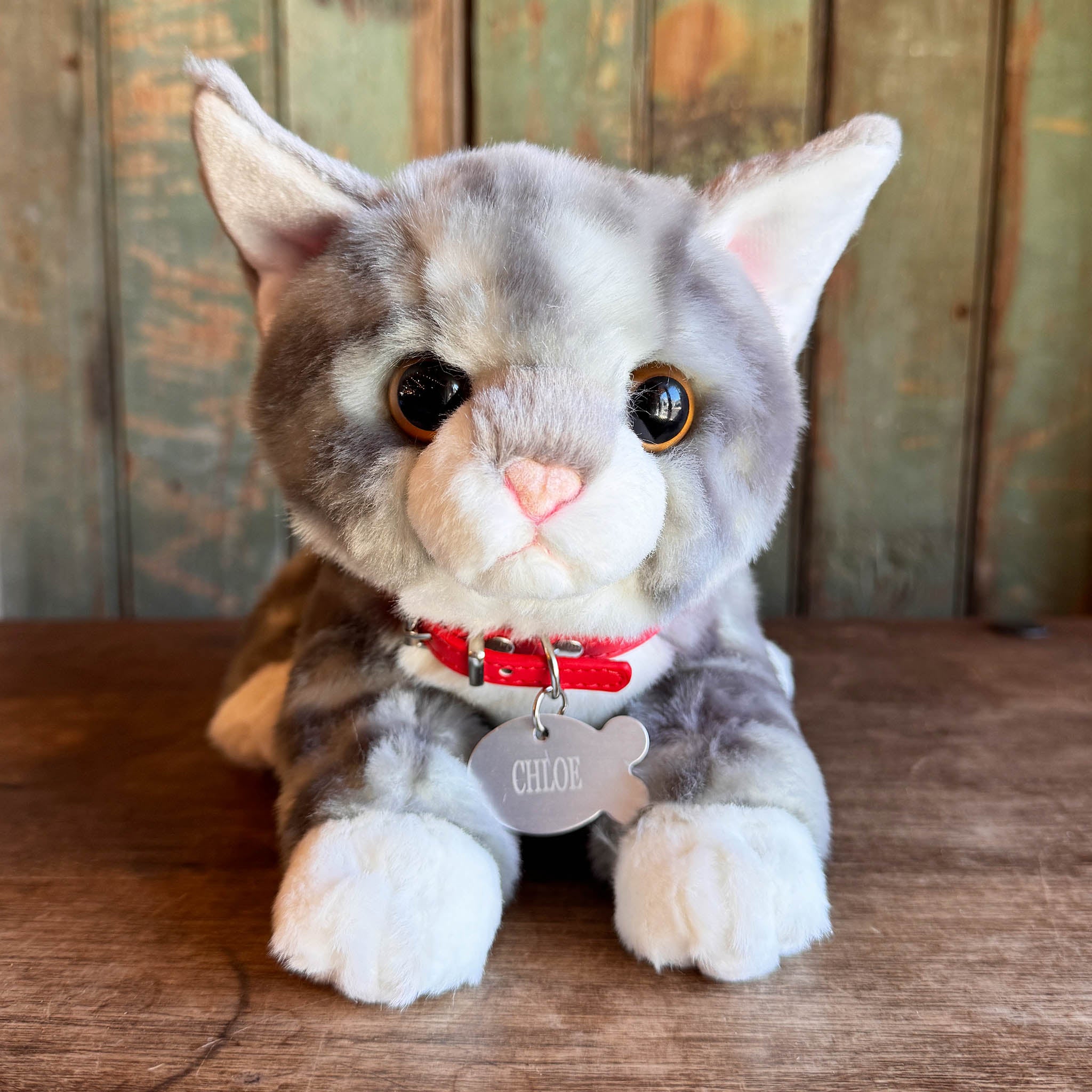 Plush Kitty Toy With Personalized Tag