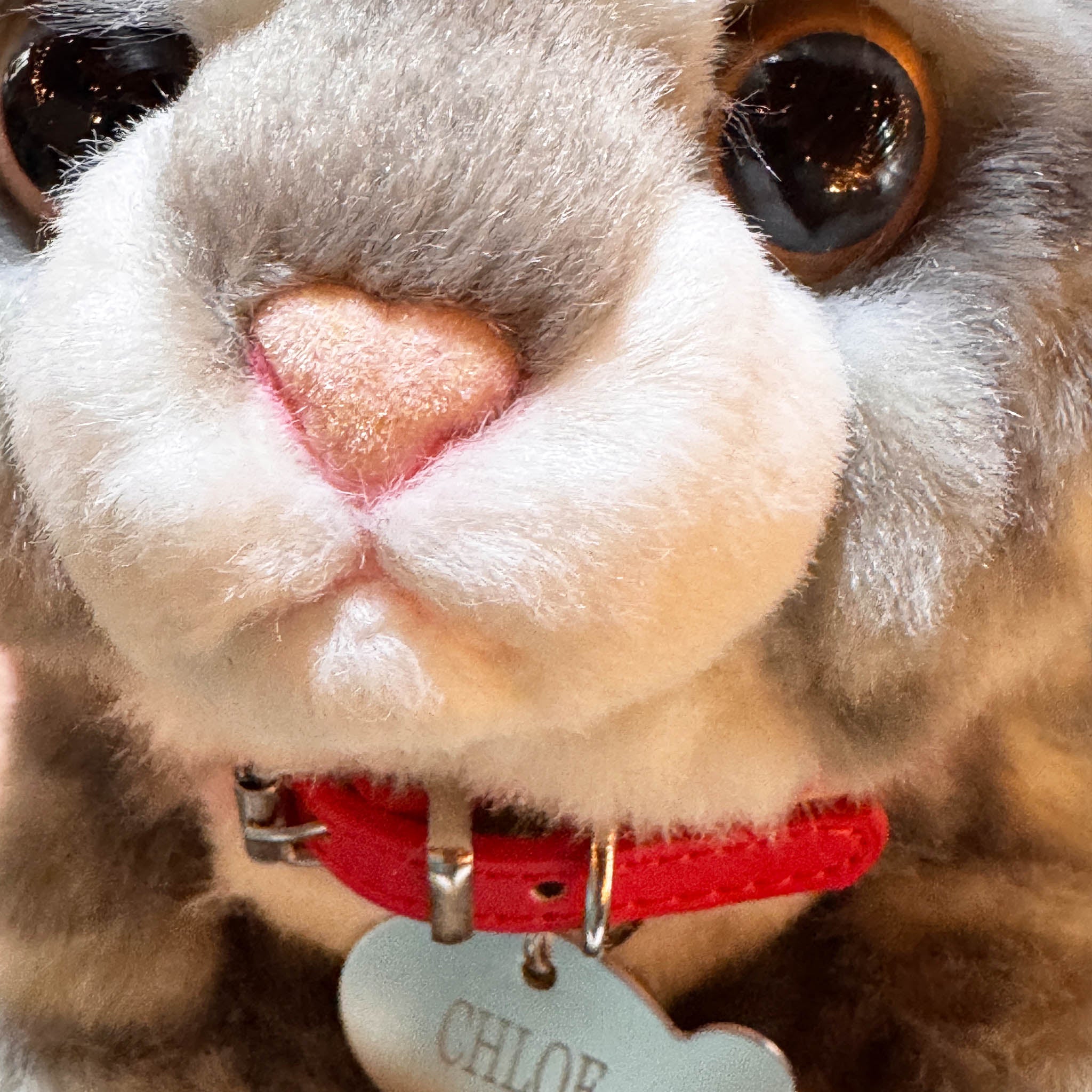 Plush Kitty Toy With Personalized Tag