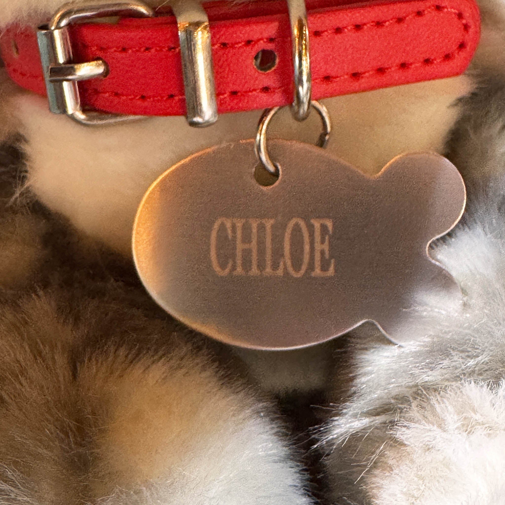 Plush Kitty Toy With Personalized Tag