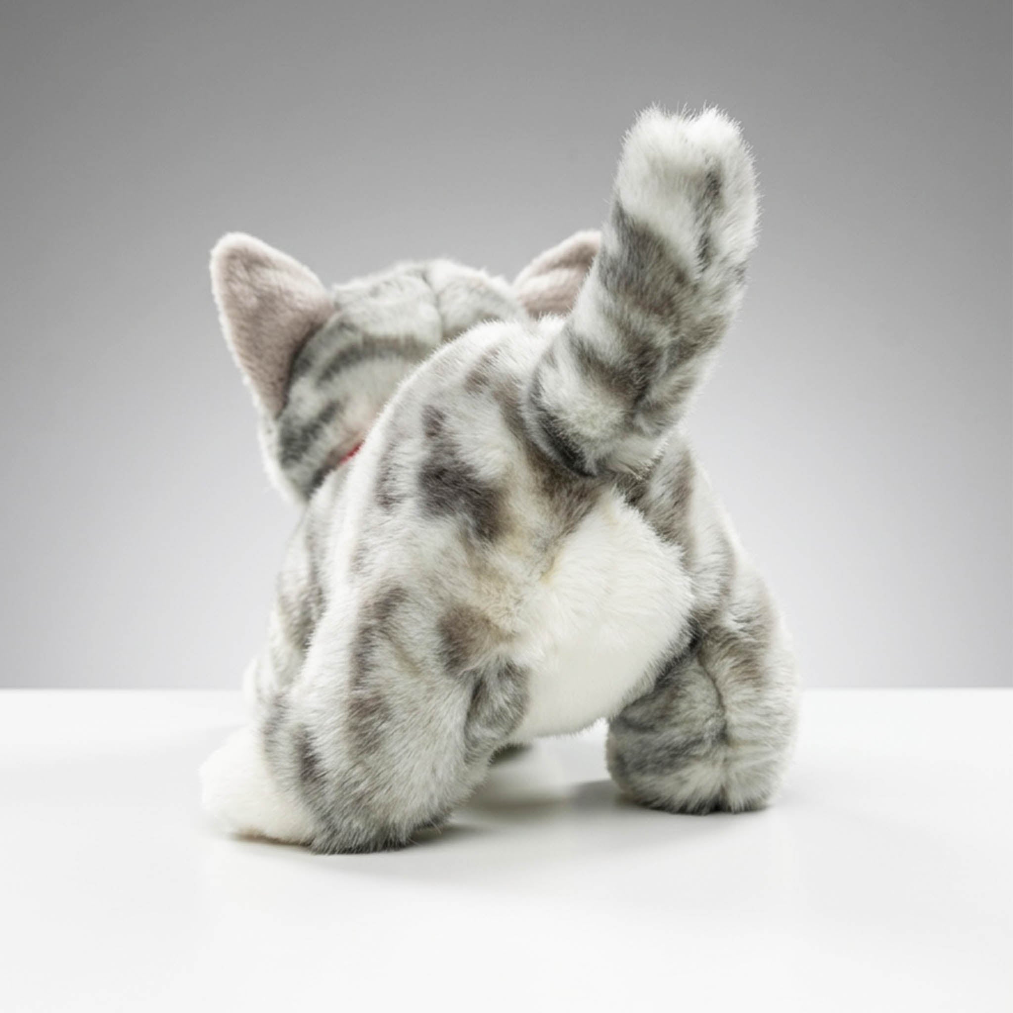 Plush Kitty Toy With Personalized Tag